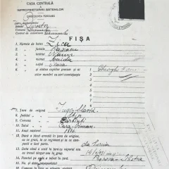 Fișa colonistului Zicu Naum Papacu