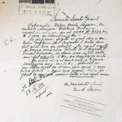 Cererea lui Zicu Naum Papacu de împroprietărire cu 10 ha de pământ, conform legislației
