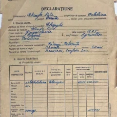 Declarația lui Gheorghe Mita Costa, la evacuarea din Cadrilater, 10 septembrie 1940