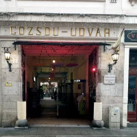 Pasajul Gojdu